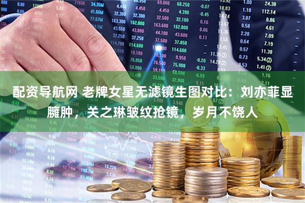 配资导航网 老牌女星无滤镜生图对比：刘亦菲显臃肿，关之琳皱纹抢镜，岁月不饶人